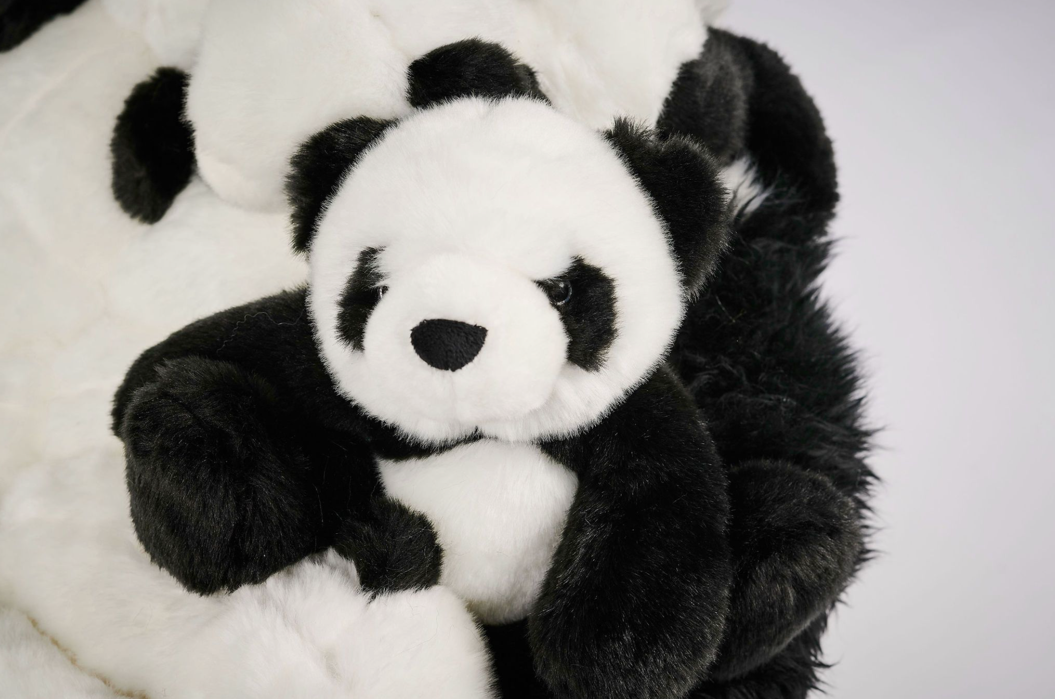 Panda Chair